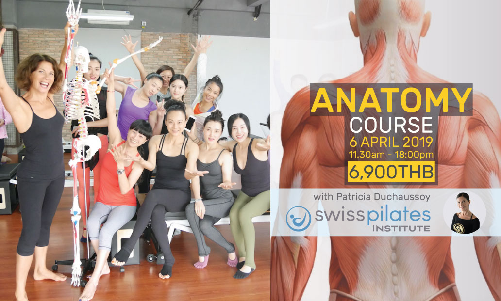 Anatomy Course